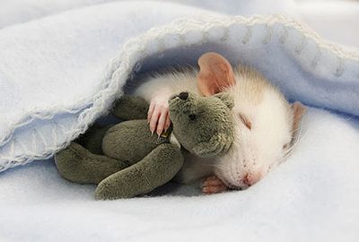 asleepwith ted.jpg