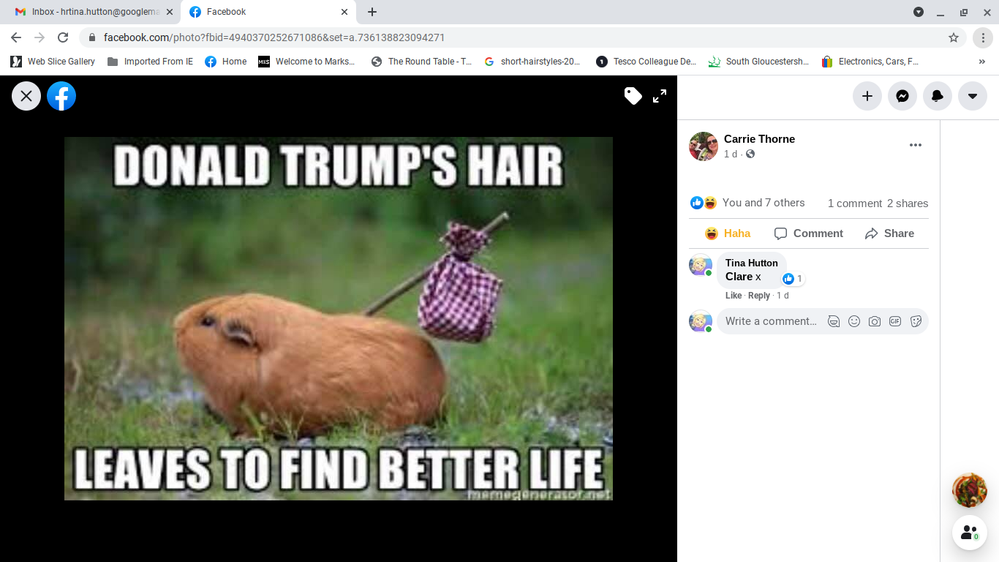 Screenshot 2021-01-21 at 10.26.40 PM.png