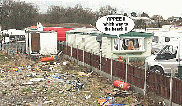 craysLtina caravan GIFGIF.gif