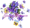 AfternoonPansiesGOODAFTERNOONPANSIE.gif