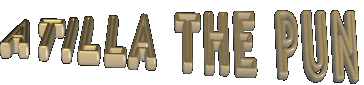 STILLA THE PUN.gif