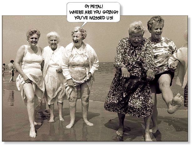 You've missed us.jpg