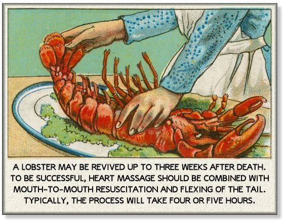Lobster.jpg