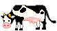 cow93.gif
